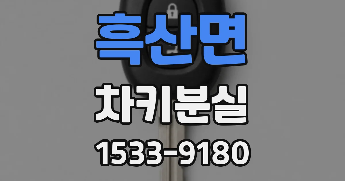 흑산면 차키분실