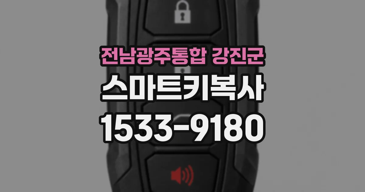 전남광주통합 강진군 스마트키복사