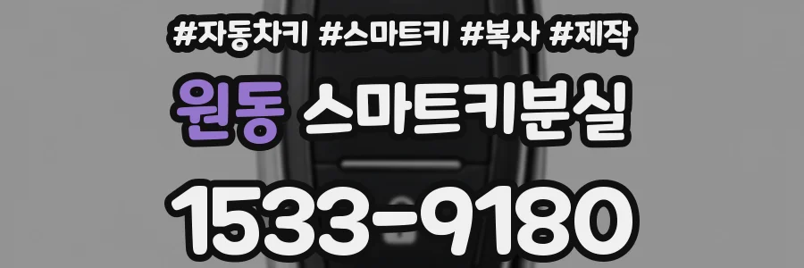 원동 스마트키분실