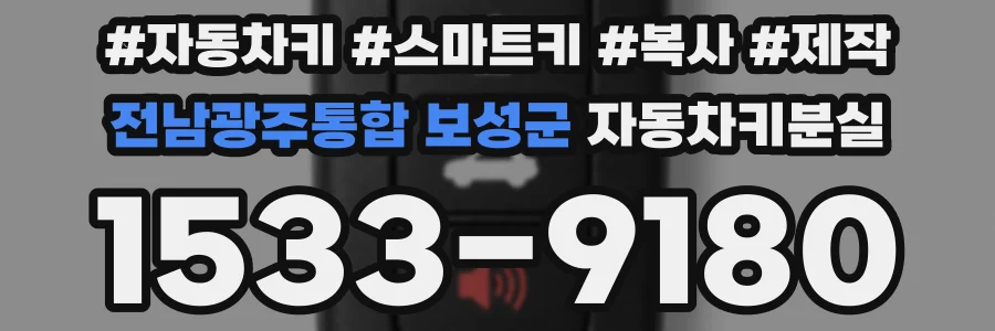 전남광주통합 보성군 자동차키분실