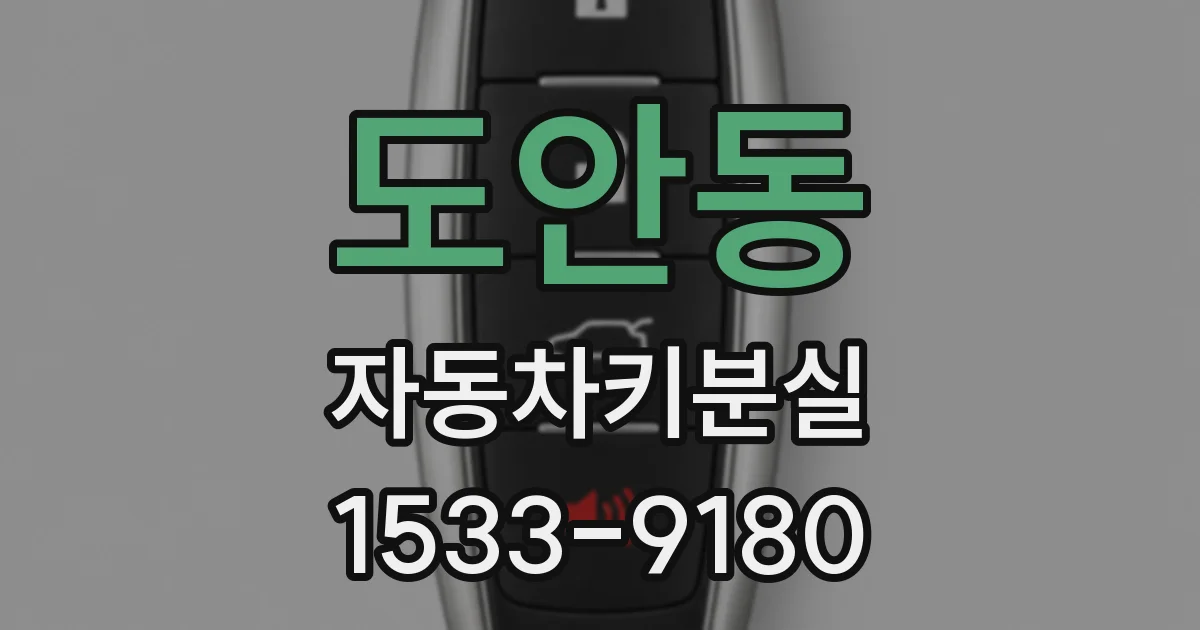 도안동 자동차키분실