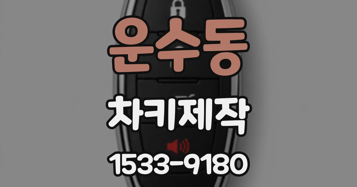 운수동 차키제작