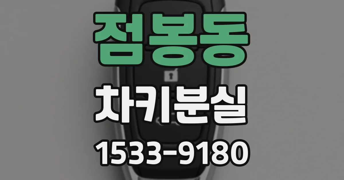 점봉동 차키분실