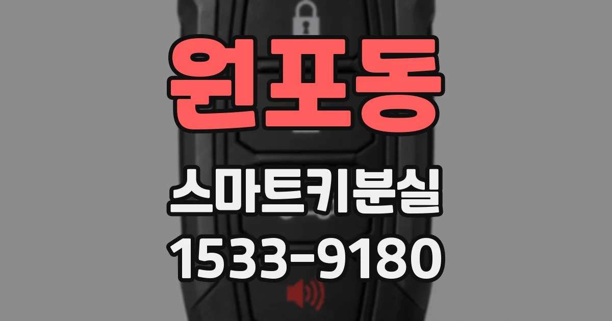 원포동 스마트키분실