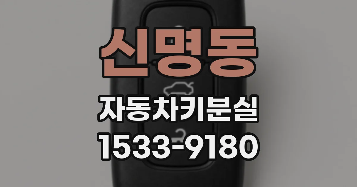 신명동 자동차키분실