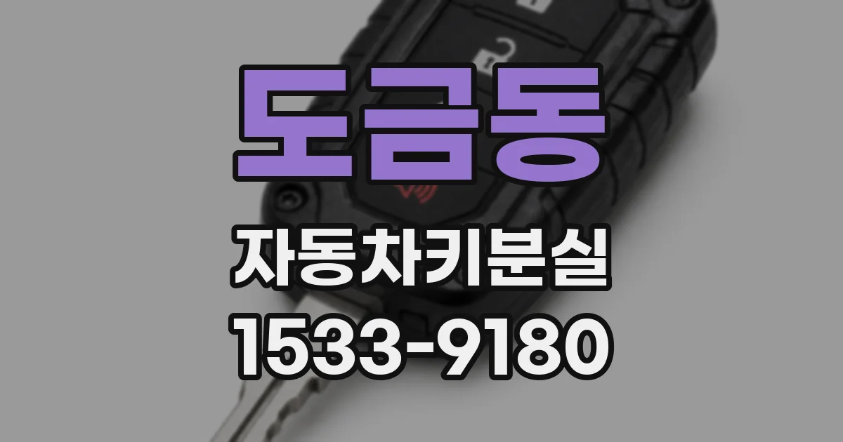 도금동 자동차키분실