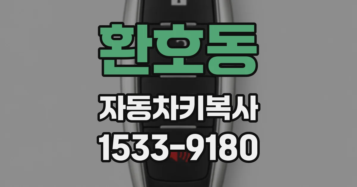 환호동 자동차키복사