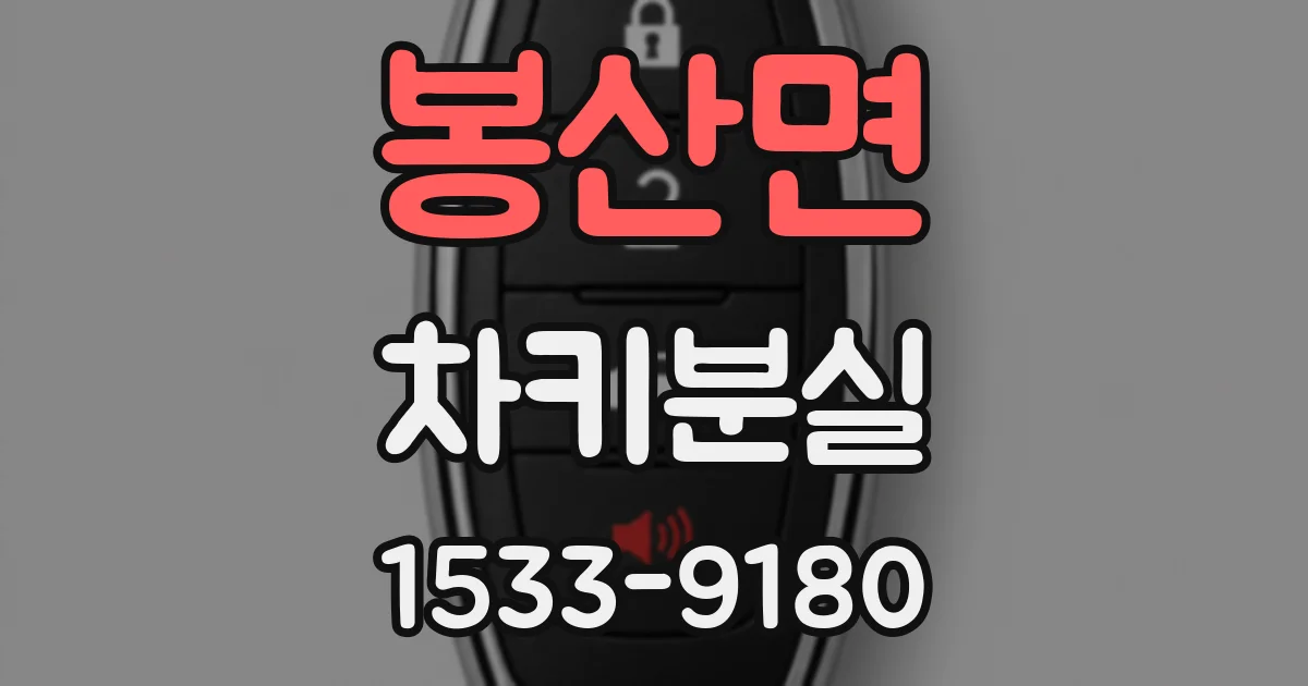 봉산면 차키분실