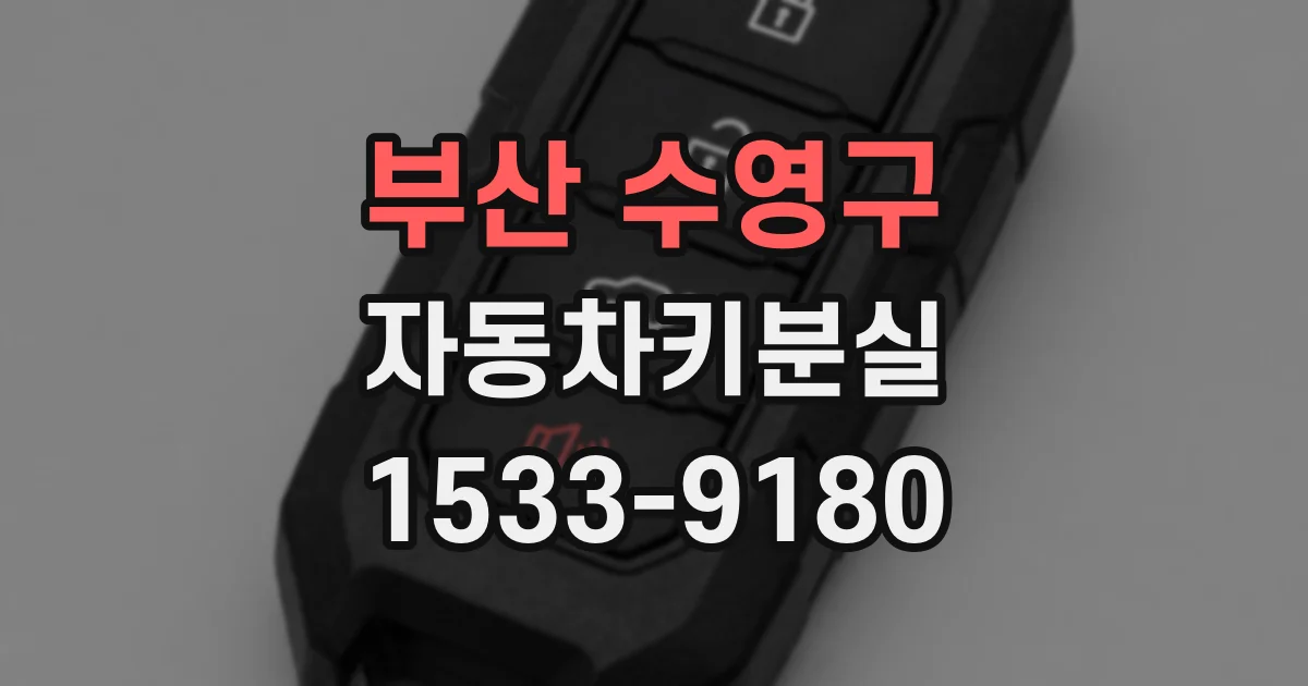 부산 수영구 자동차키분실