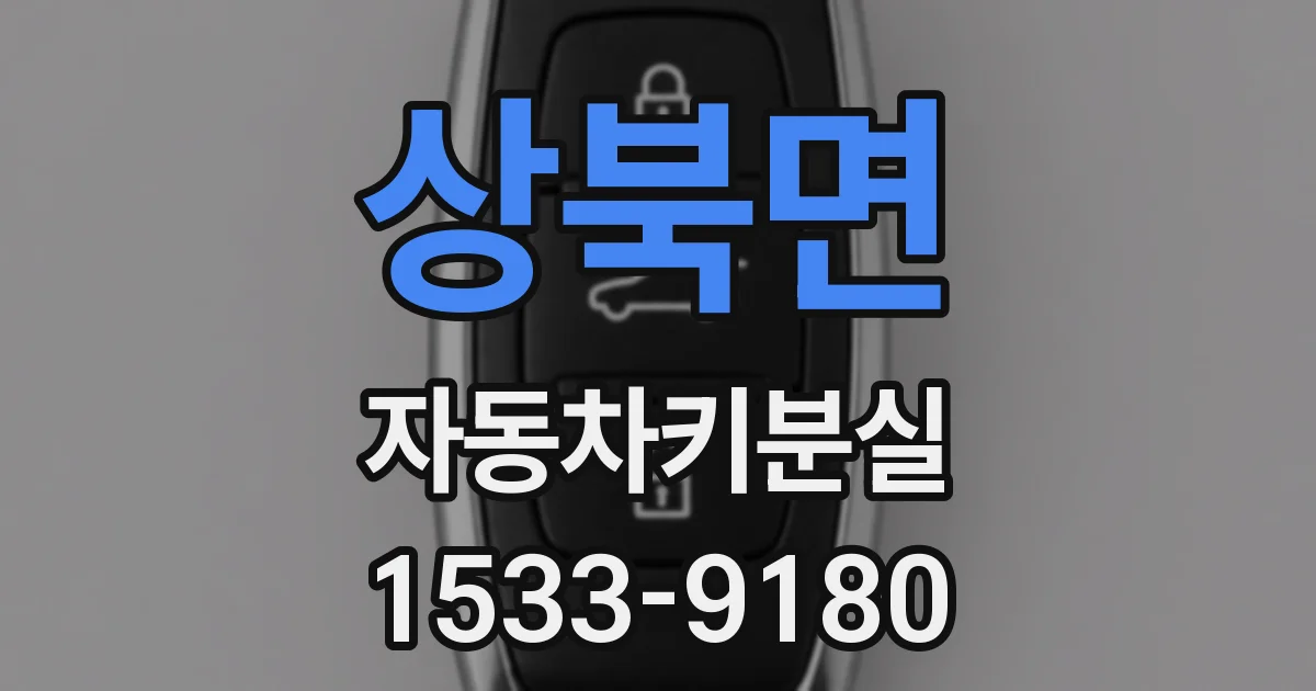 상북면 자동차키분실