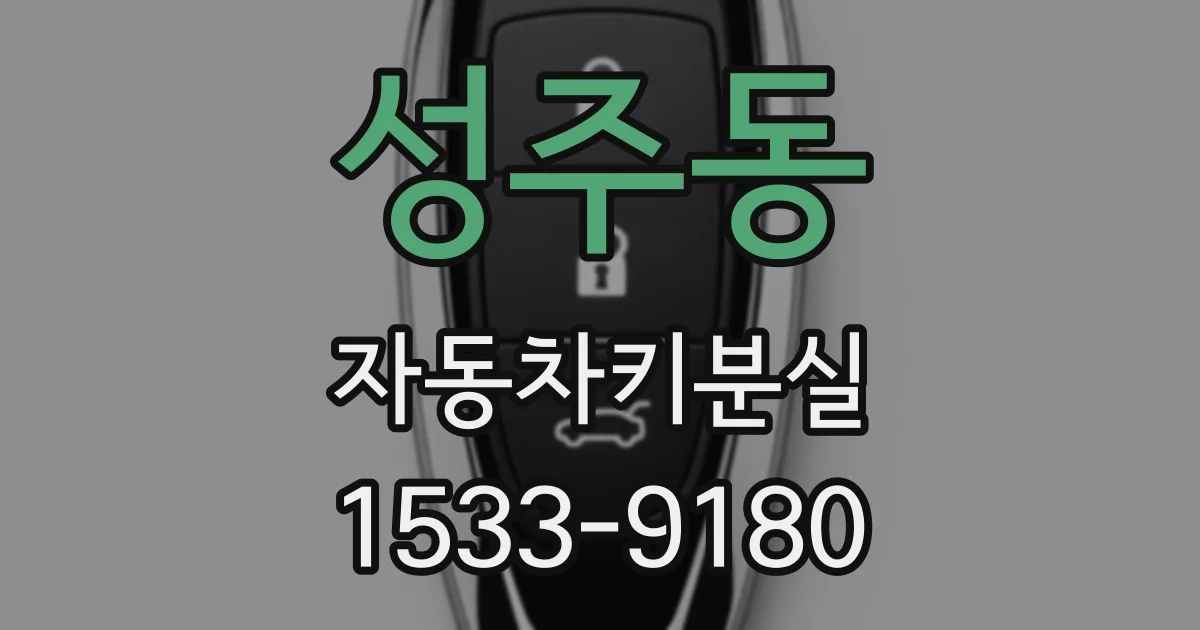 성주동 자동차키분실