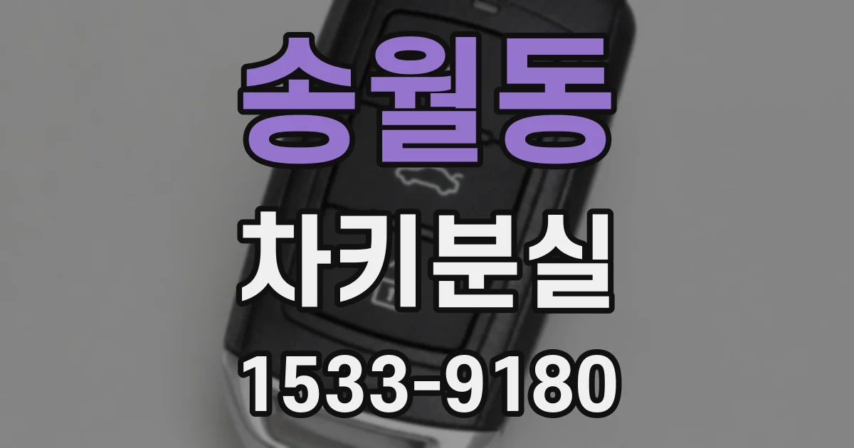 송월동 차키분실