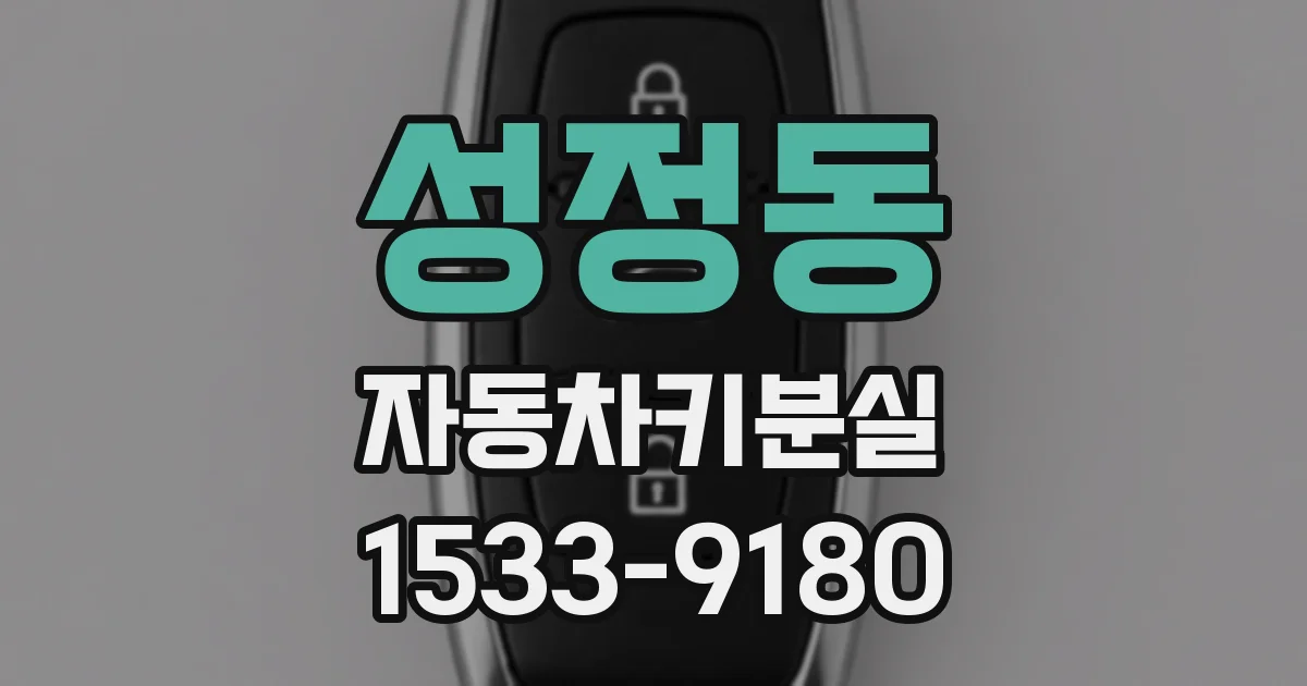 성정동 자동차키분실
