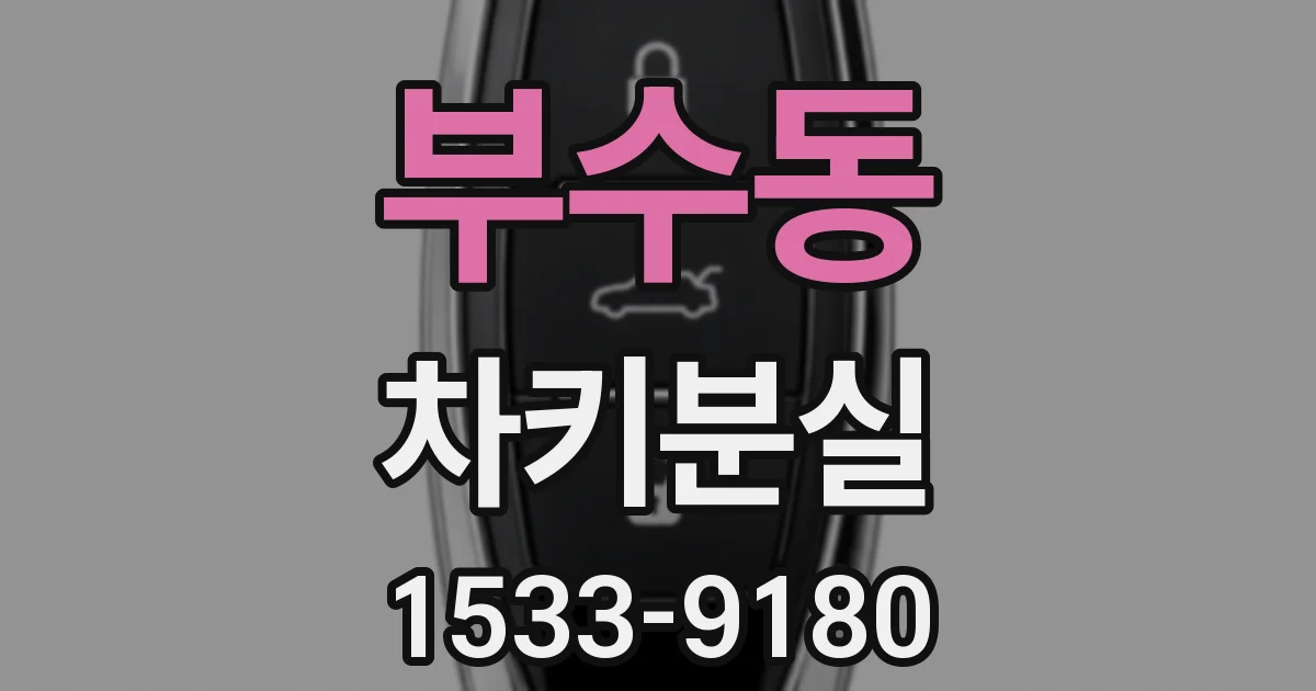 부수동 차키분실