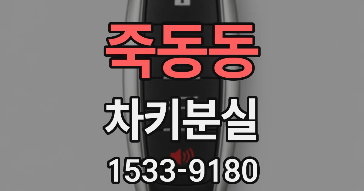 죽동동 차키분실