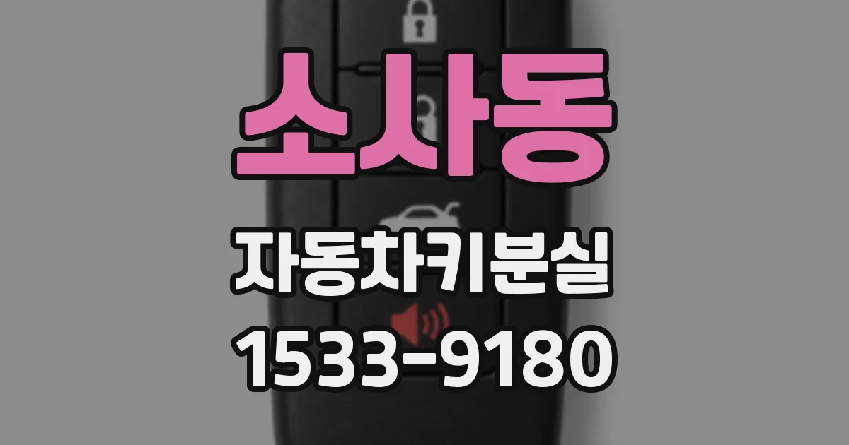 소사동 자동차키분실