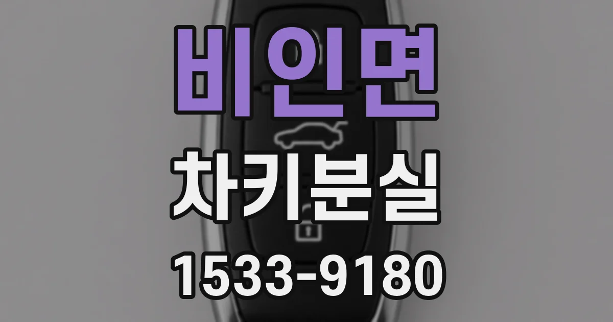 비인면 차키분실