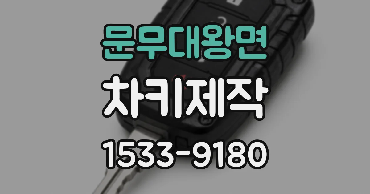 문무대왕면 차키제작