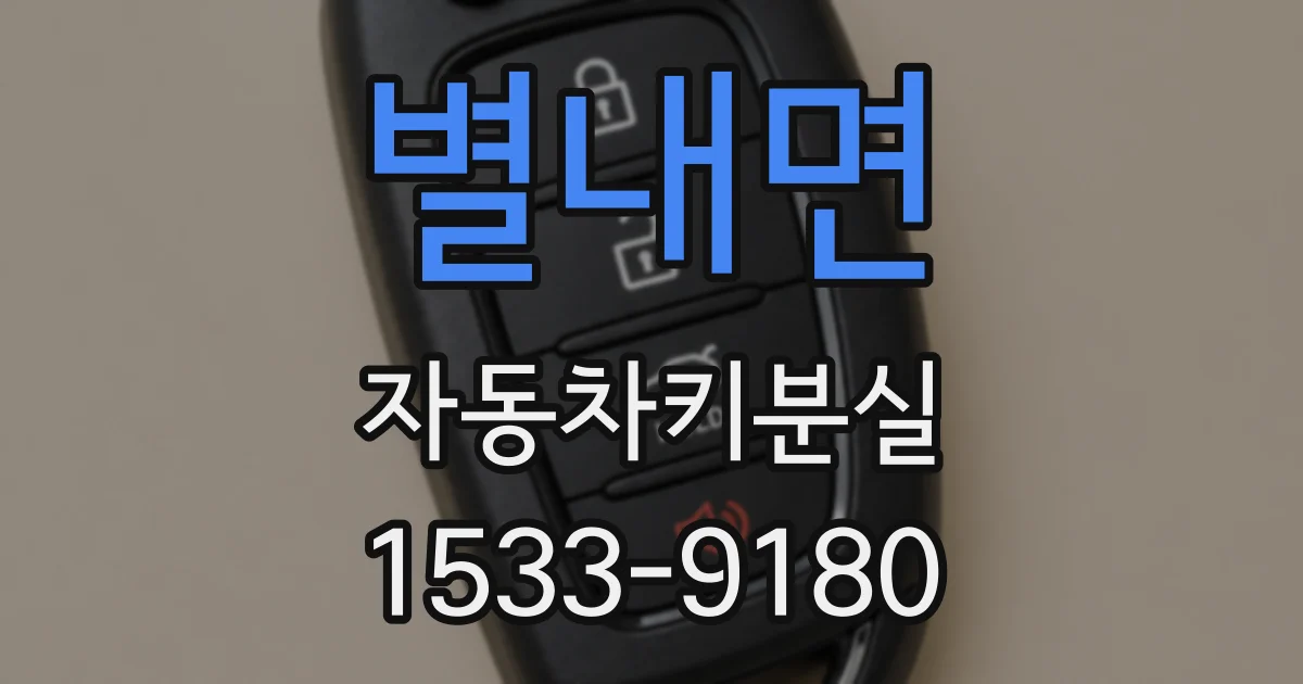 별내면 자동차키분실