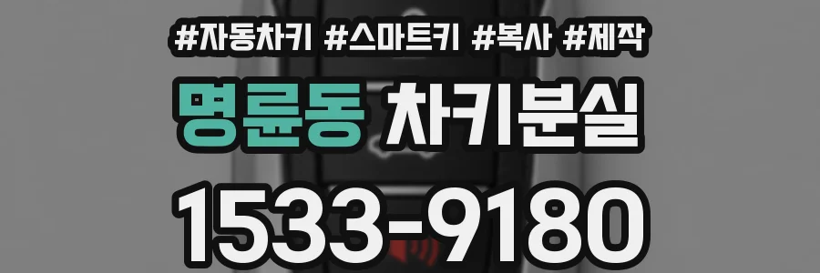 명륜동 차키분실