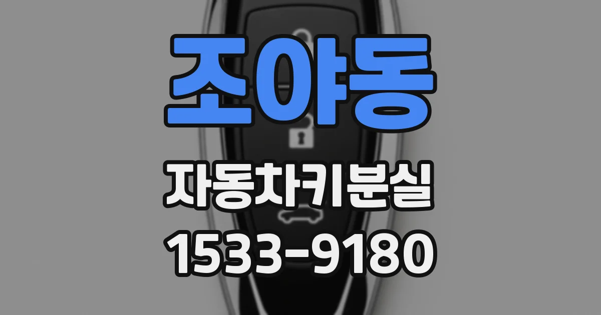 조야동 자동차키분실