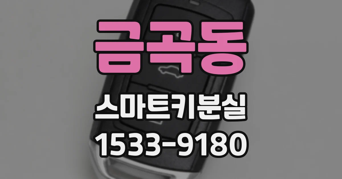 금곡동 스마트키분실