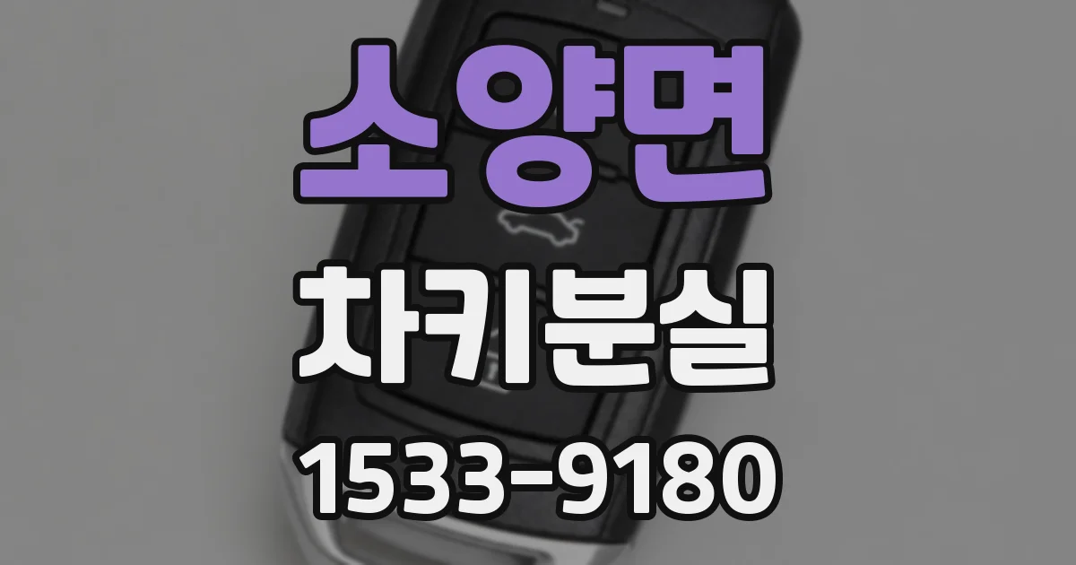 소양면 차키분실