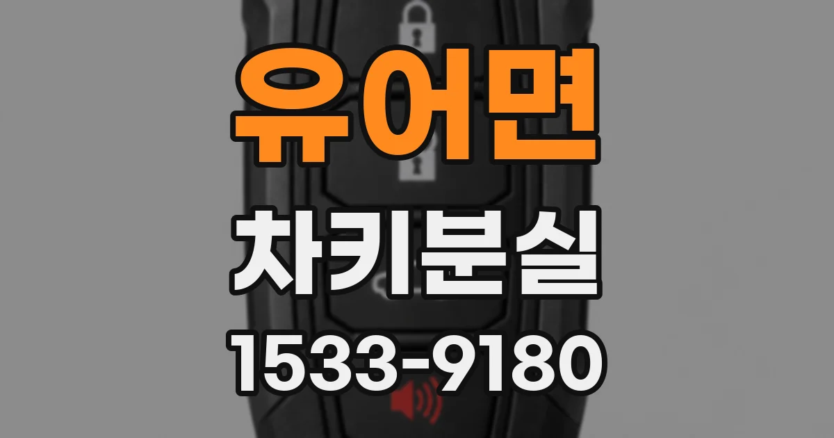 유어면 차키분실