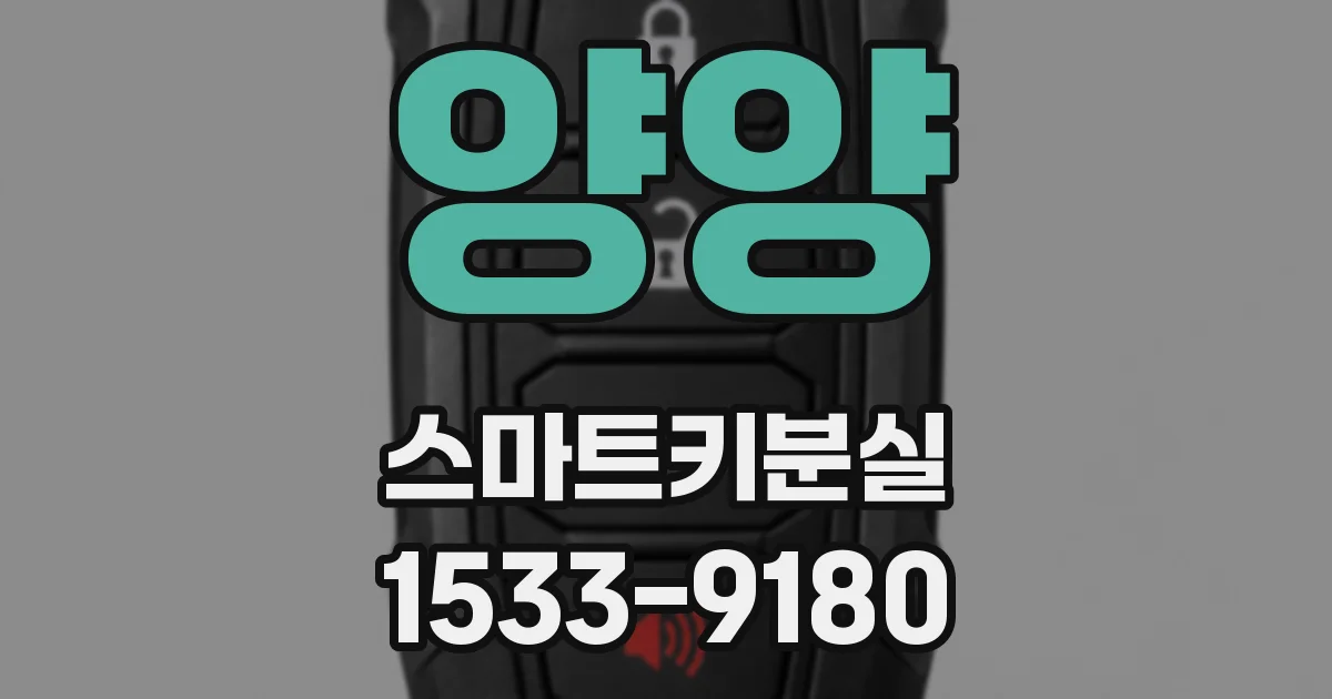 양양 스마트키분실