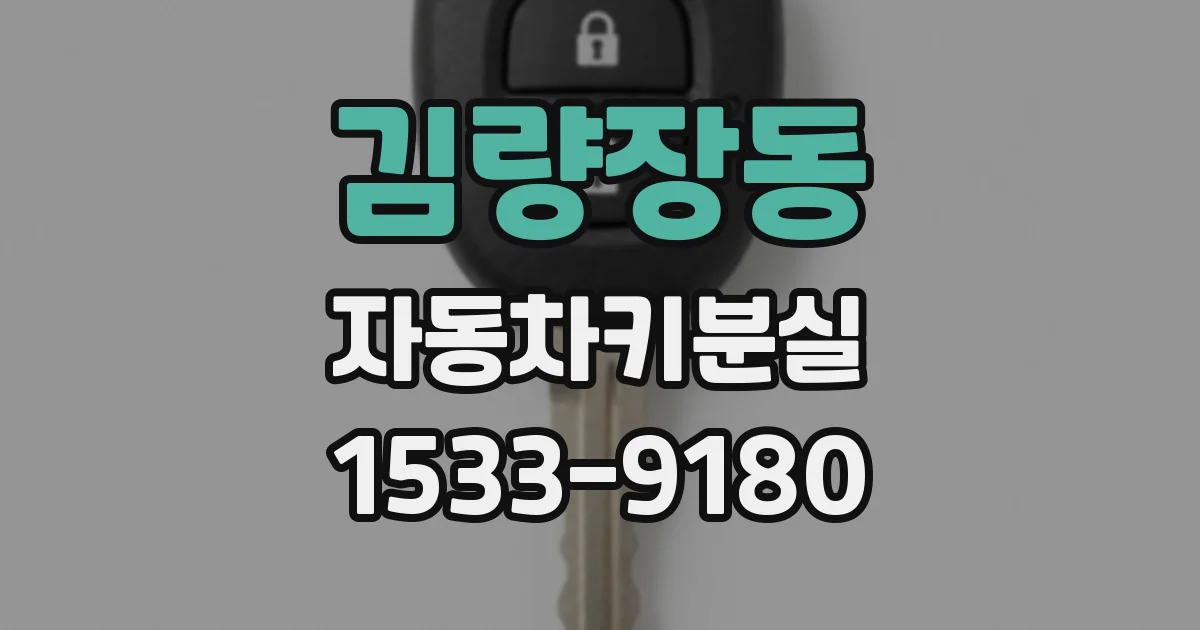 김량장동 자동차키분실