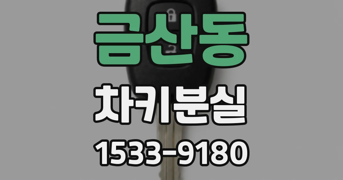 금산동 차키분실