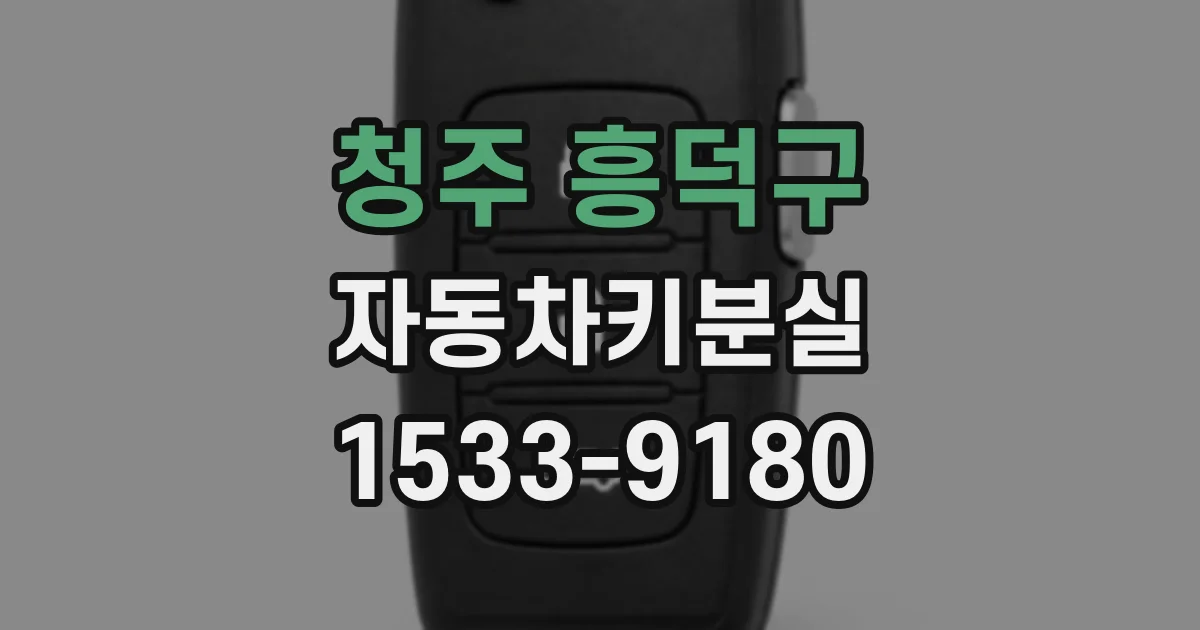 청주 흥덕구 자동차키분실