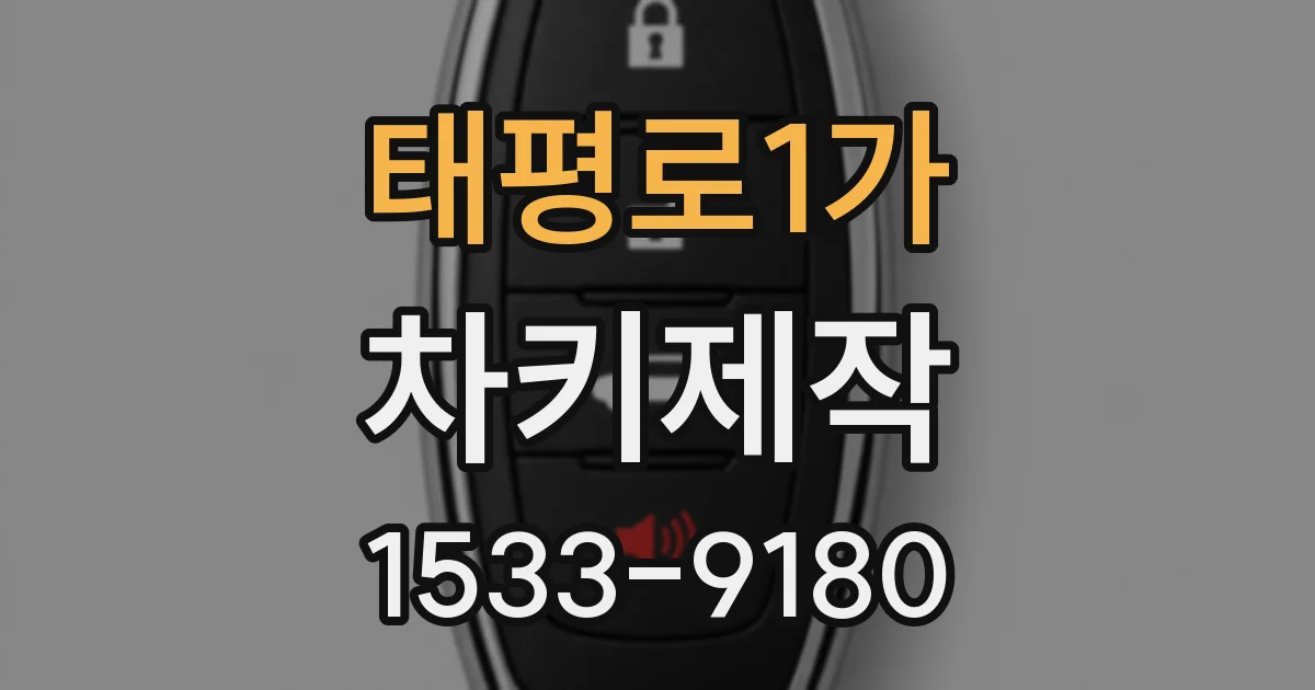 태평로1가 차키제작