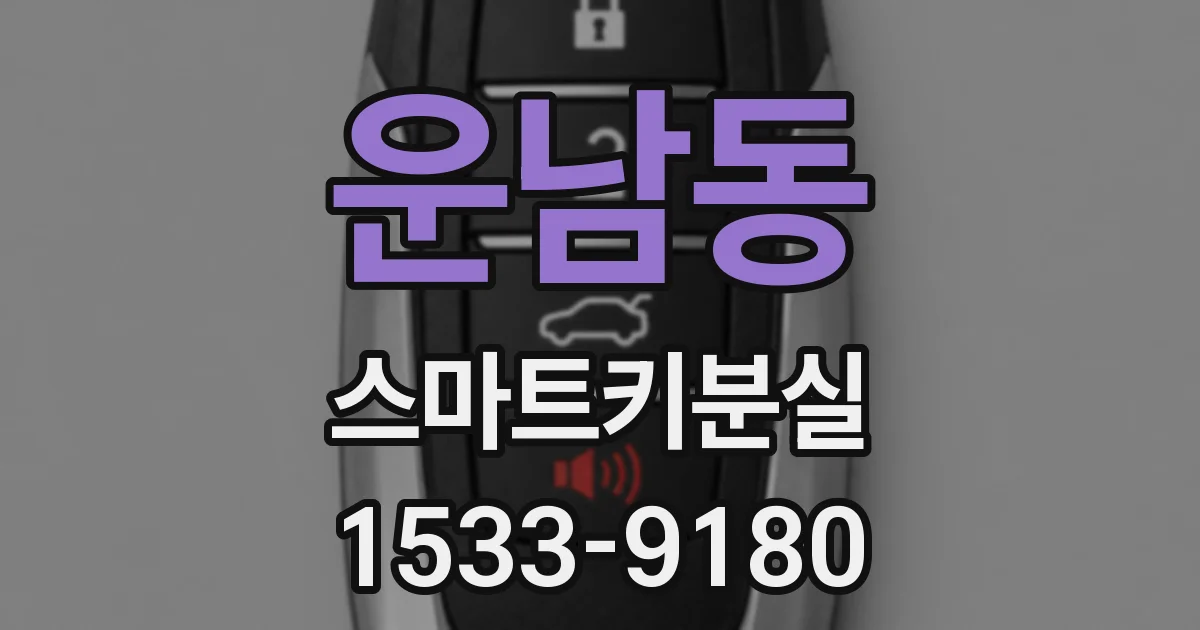 운남동 스마트키분실