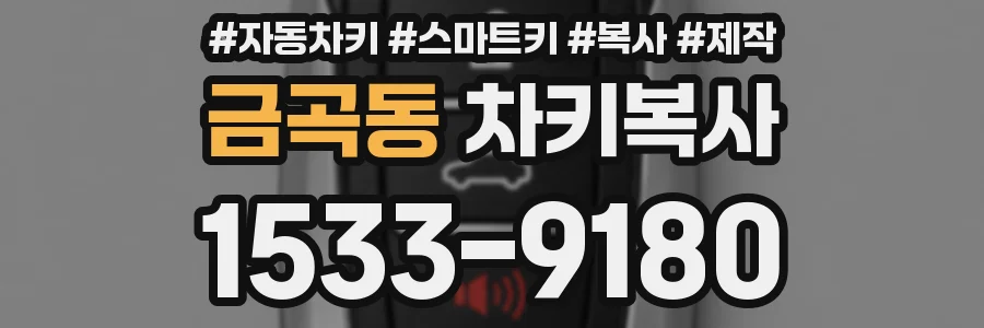 금곡동 차키복사