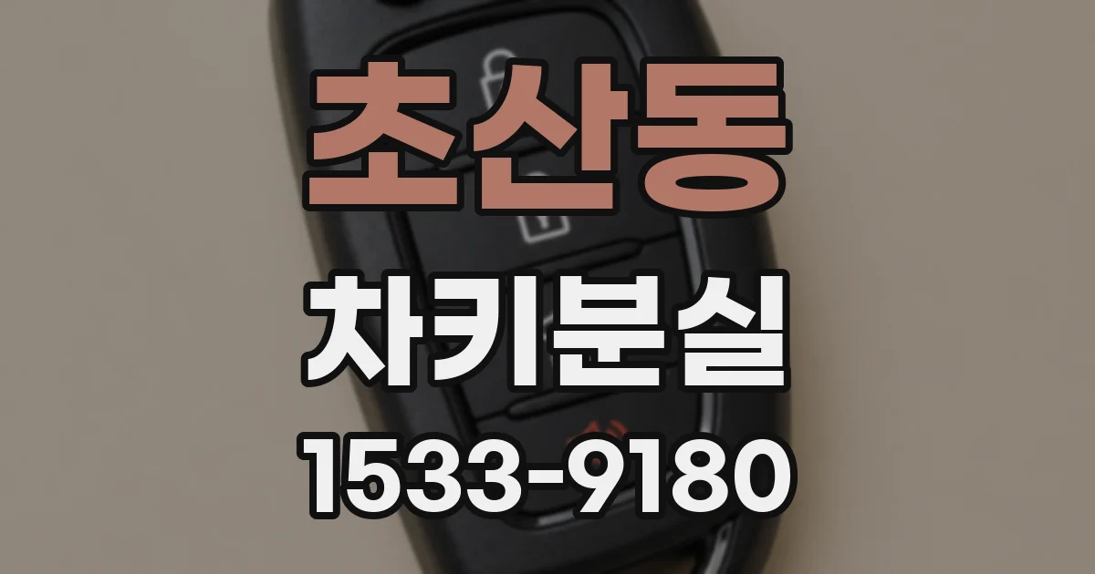 초산동 차키분실