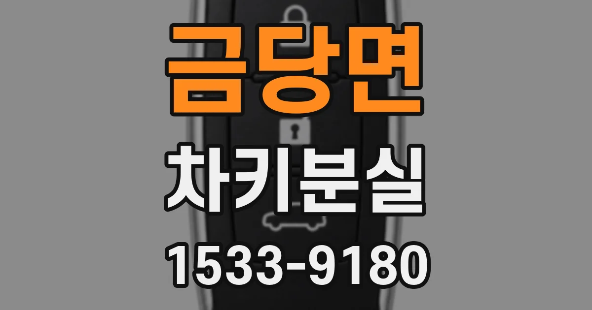 금당면 차키분실