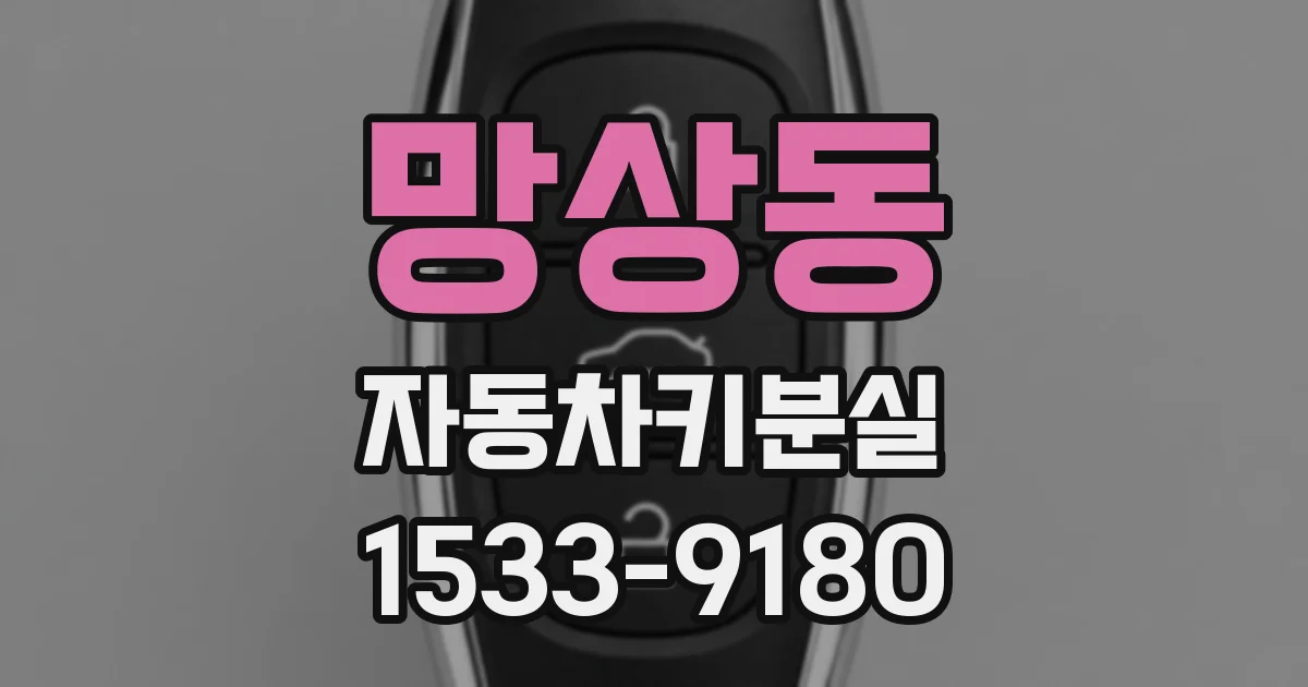 망상동 자동차키분실