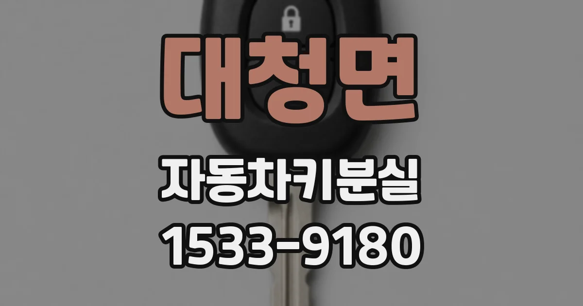 대청면 자동차키분실