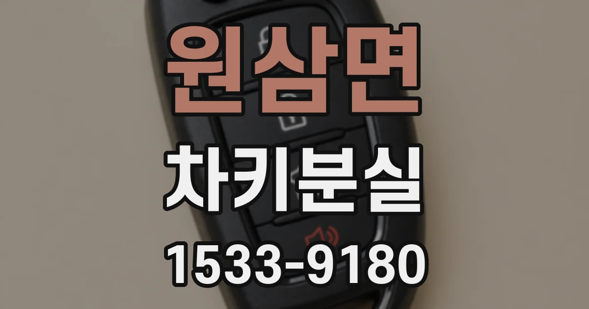 원삼면 차키분실