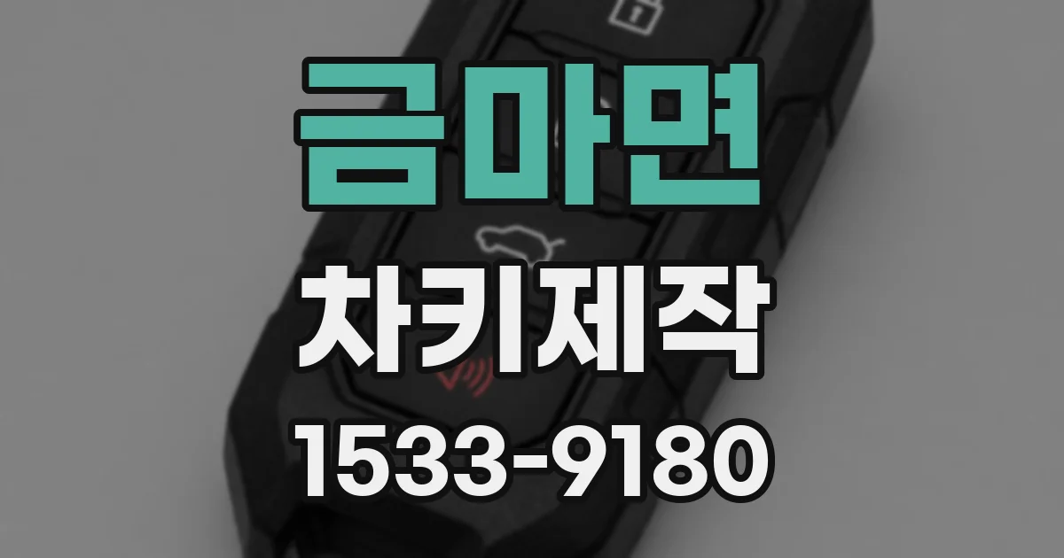 금마면 차키제작