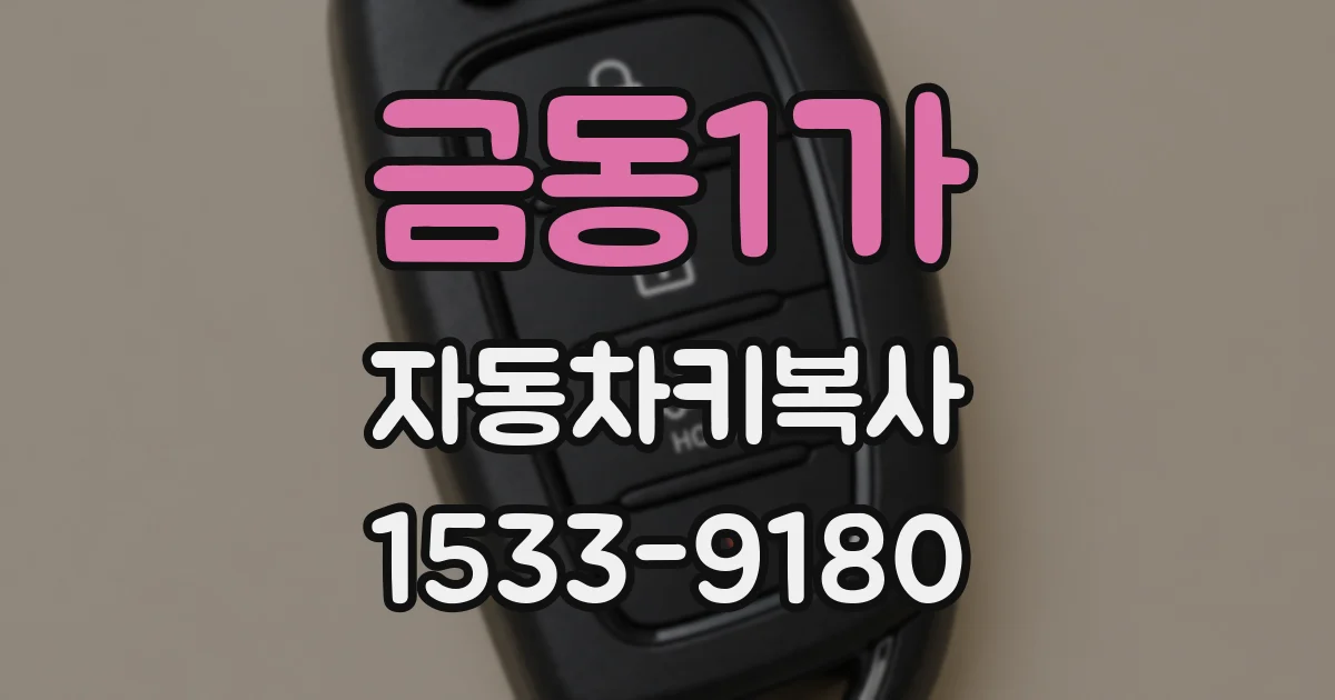 금동1가 자동차키복사