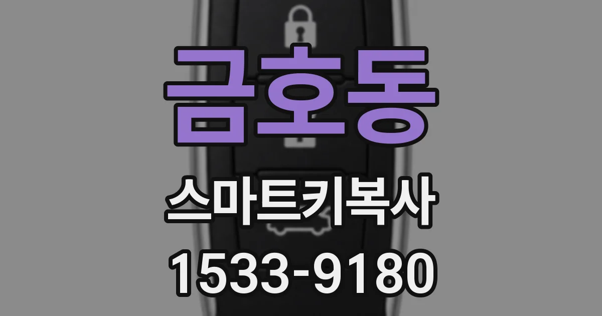 금호동 스마트키복사