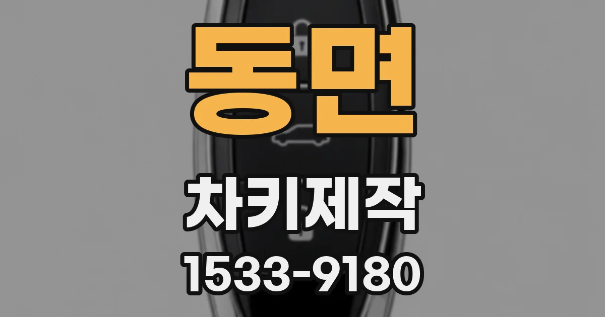 동면 차키제작