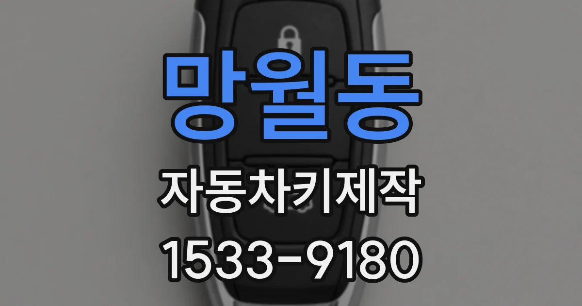 망월동 자동차키제작