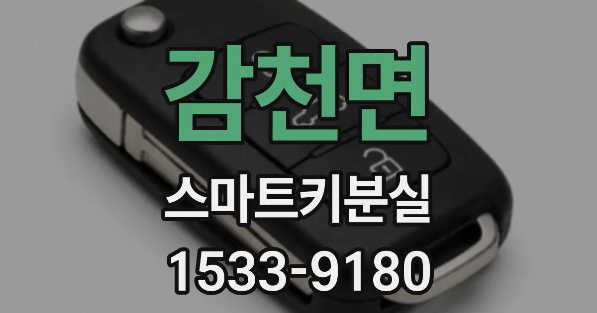 감천면 스마트키분실