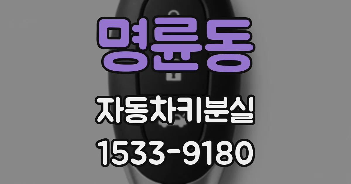 명륜동 자동차키분실