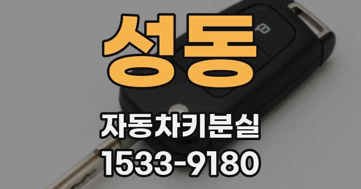 성동 자동차키분실