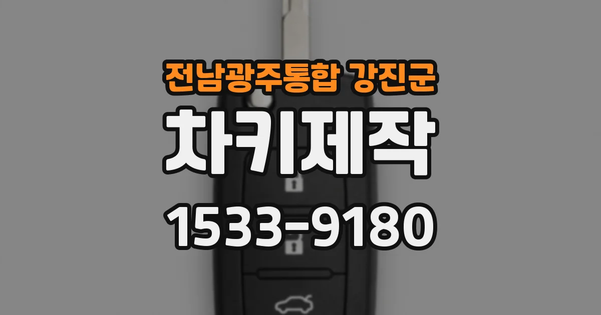 전남광주통합 강진군 차키제작