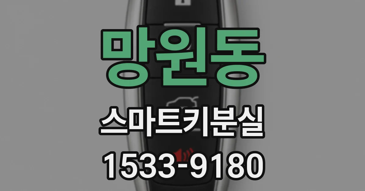 망원동 스마트키분실
